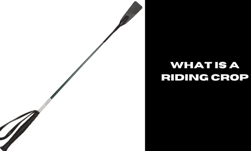 what is a riding crop