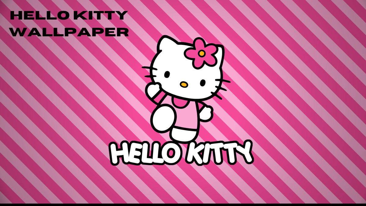 hello kitty wallpaper