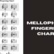 mellophone fingering chart